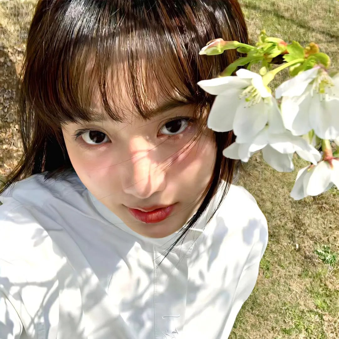 月上朝颜